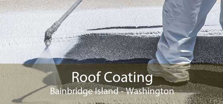 Roof Coating Bainbridge Island - Washington