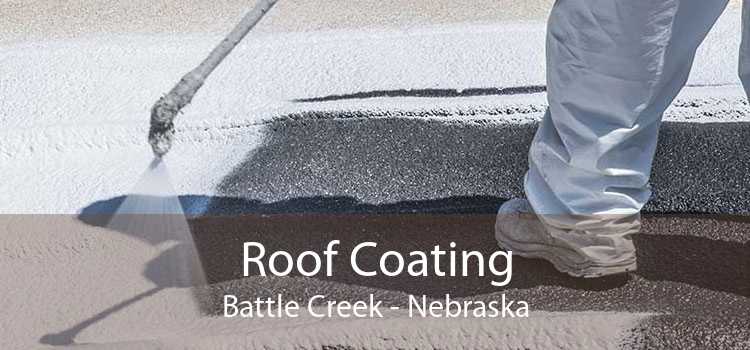Roof Coating Battle Creek - Nebraska