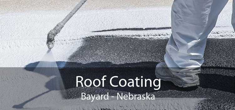 Roof Coating Bayard - Nebraska