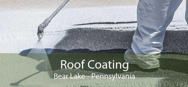 Roof Coating Bear Lake - Pennsylvania
