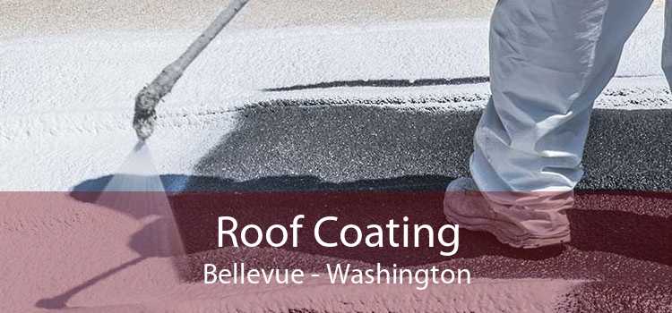 Roof Coating Bellevue - Washington
