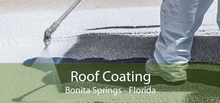 Roof Coating Bonita Springs - Florida