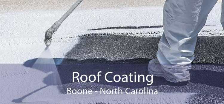 Roof Coating Boone - North Carolina