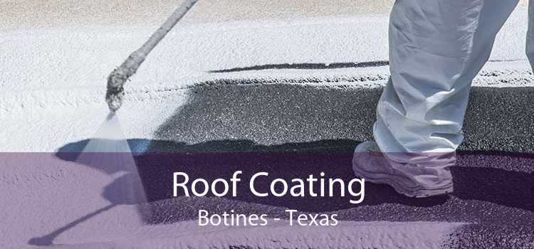 Roof Coating Botines - Texas