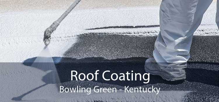 Roof Coating Bowling Green - Kentucky
