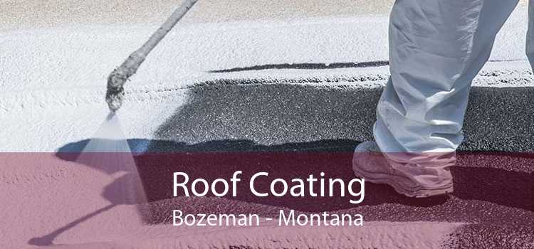 Roof Coating Bozeman - Montana