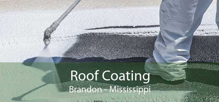 Roof Coating Brandon - Mississippi