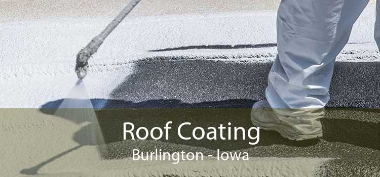 Roof Coating Burlington - Iowa