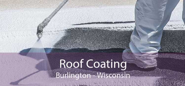 Roof Coating Burlington - Wisconsin