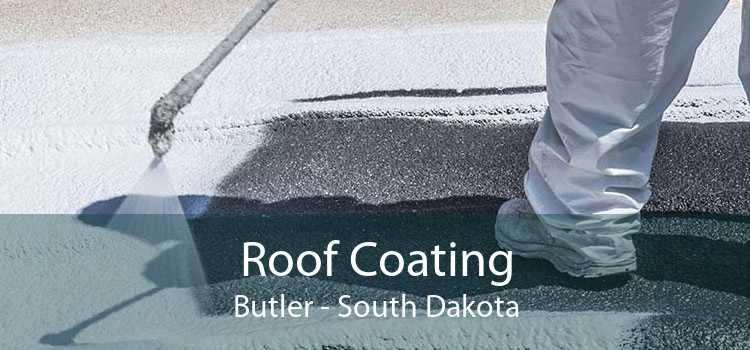 Roof Coating Butler - South Dakota