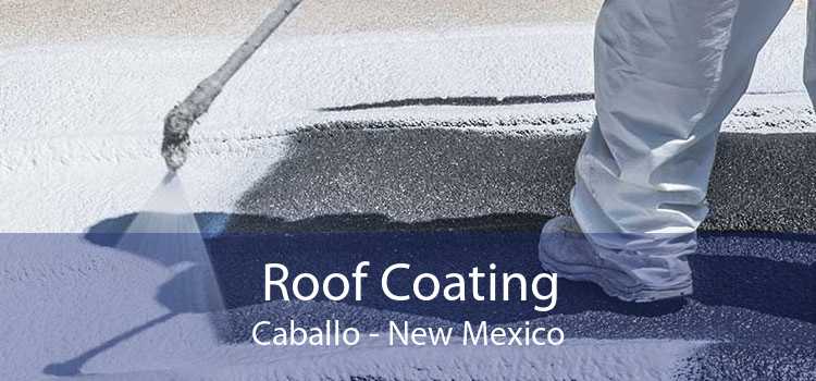 Roof Coating Caballo - New Mexico