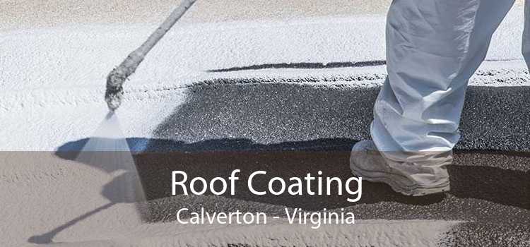 Roof Coating Calverton - Virginia