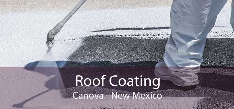 Roof Coating Canova - New Mexico