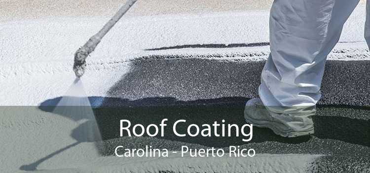 Roof Coating Carolina - Puerto Rico