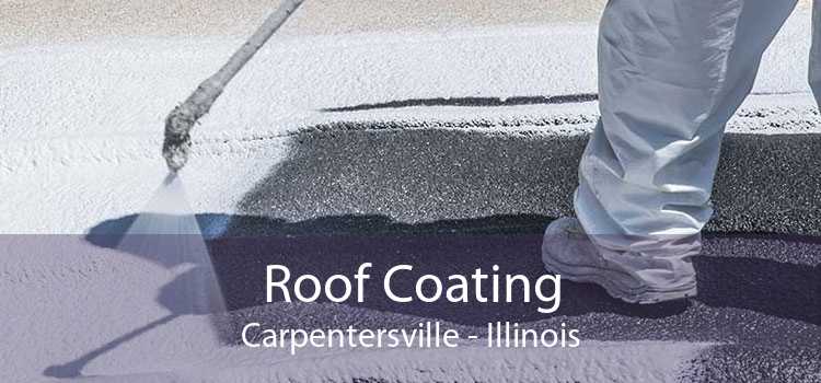 Roof Coating Carpentersville - Illinois