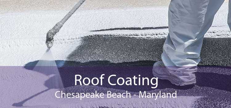 Roof Coating Chesapeake Beach - Maryland