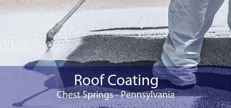 Roof Coating Chest Springs - Pennsylvania