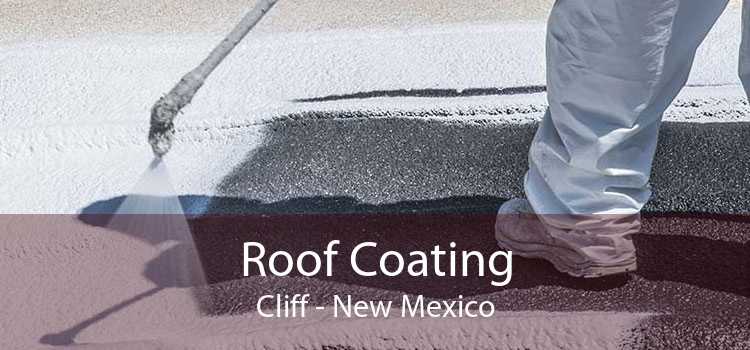 Roof Coating Cliff - New Mexico