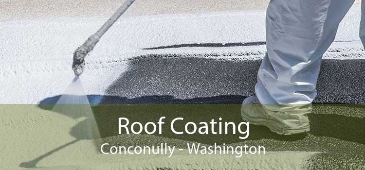 Roof Coating Conconully - Washington