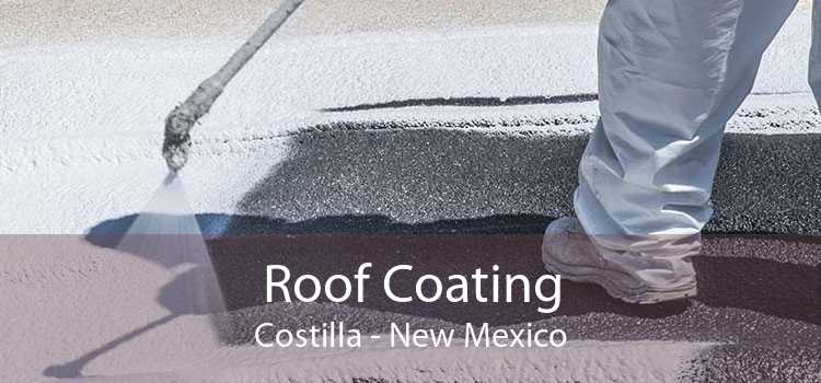Roof Coating Costilla - New Mexico