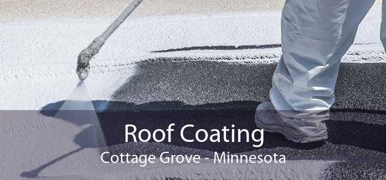 Roof Coating Cottage Grove - Minnesota
