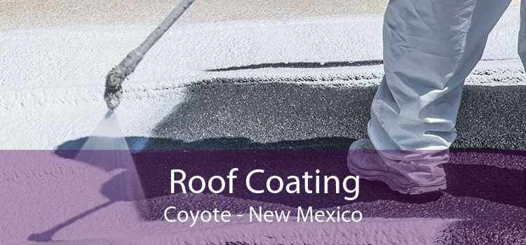 Roof Coating Coyote - New Mexico