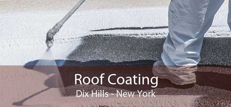 Roof Coating Dix Hills - New York