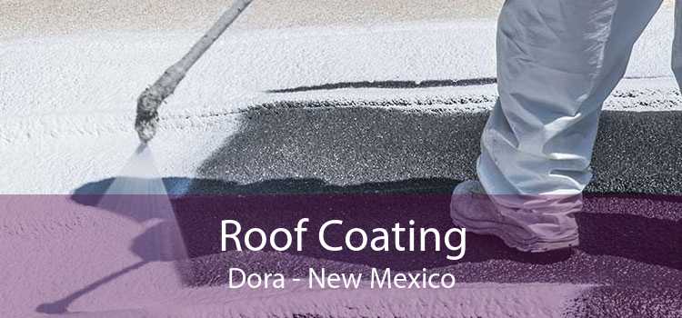 Roof Coating Dora - New Mexico