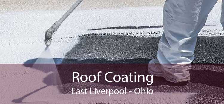 Roof Coating East Liverpool - Ohio