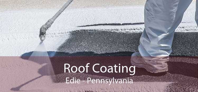 Roof Coating Edie - Pennsylvania