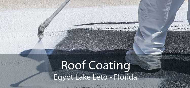 Roof Coating Egypt Lake Leto - Florida