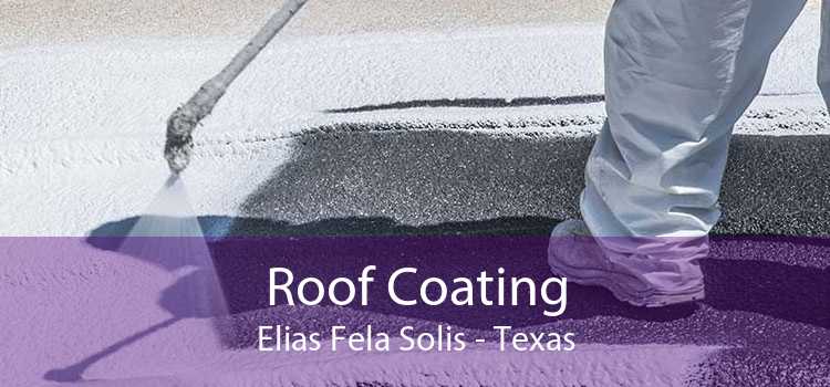 Roof Coating Elias Fela Solis - Texas