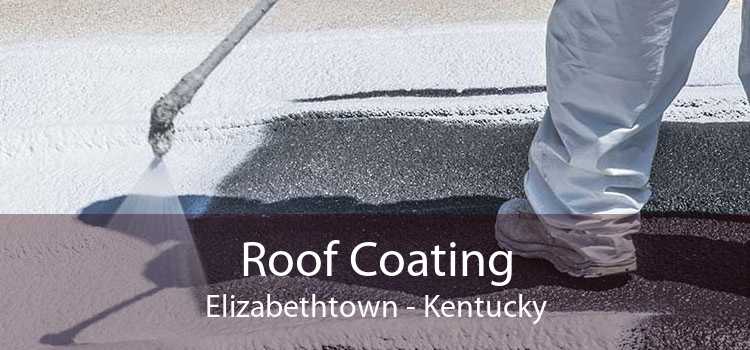 Roof Coating Elizabethtown - Kentucky