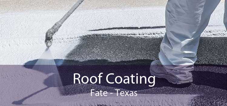 Roof Coating Fate - Texas