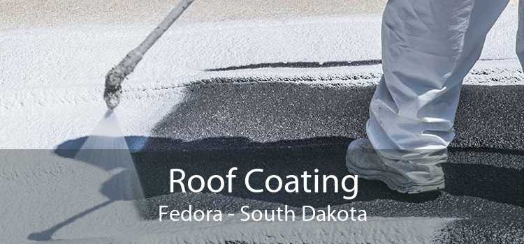 Roof Coating Fedora - South Dakota