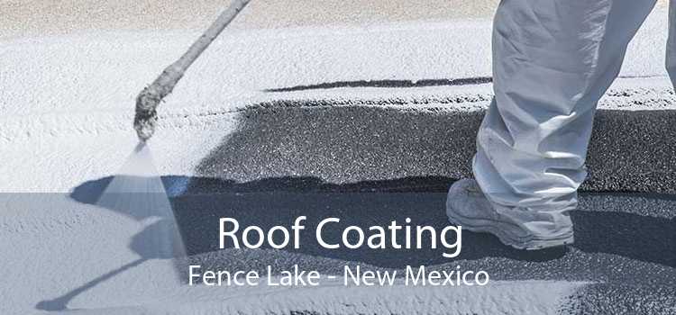 Roof Coating Fence Lake - New Mexico