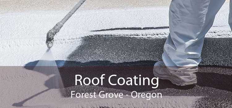 Roof Coating Forest Grove - Oregon