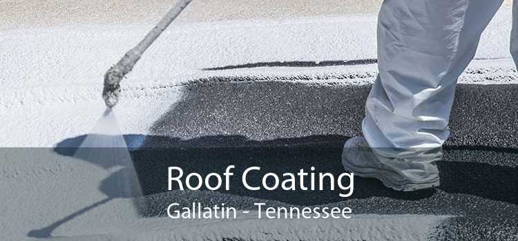 Roof Coating Gallatin - Tennessee