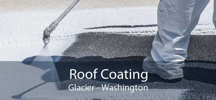 Roof Coating Glacier - Washington