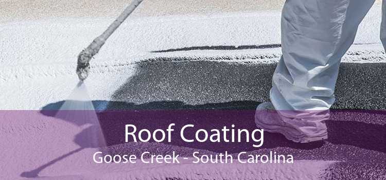 Roof Coating Goose Creek - South Carolina