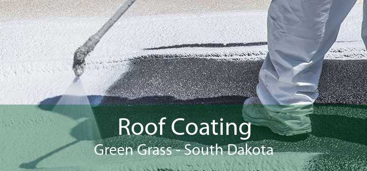 Roof Coating Green Grass - South Dakota
