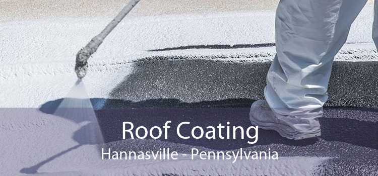 Roof Coating Hannasville - Pennsylvania