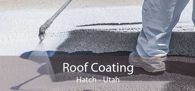 Roof Coating Hatch - Utah