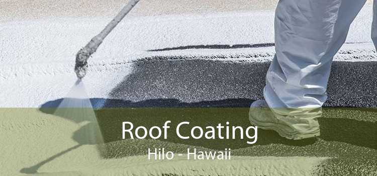 Roof Coating Hilo - Hawaii