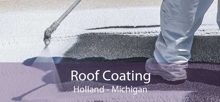 Roof Coating Holland - Michigan