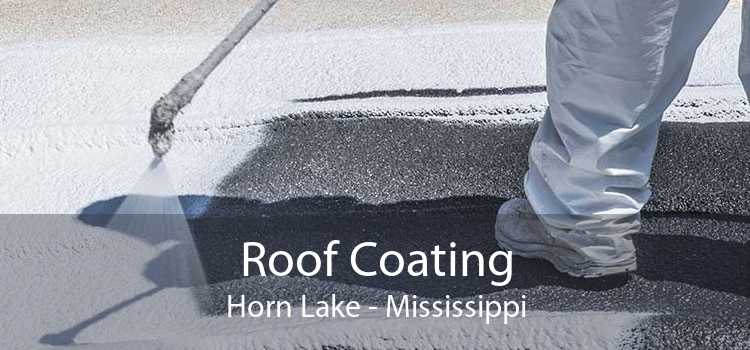 Roof Coating Horn Lake - Mississippi