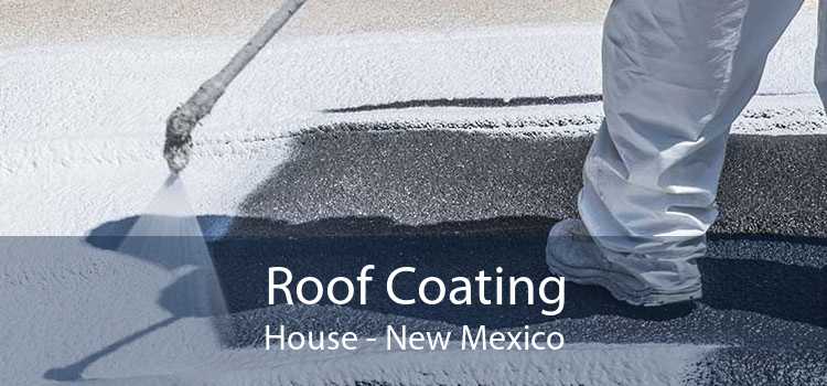 Roof Coating House - New Mexico