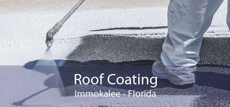 Roof Coating Immokalee - Florida