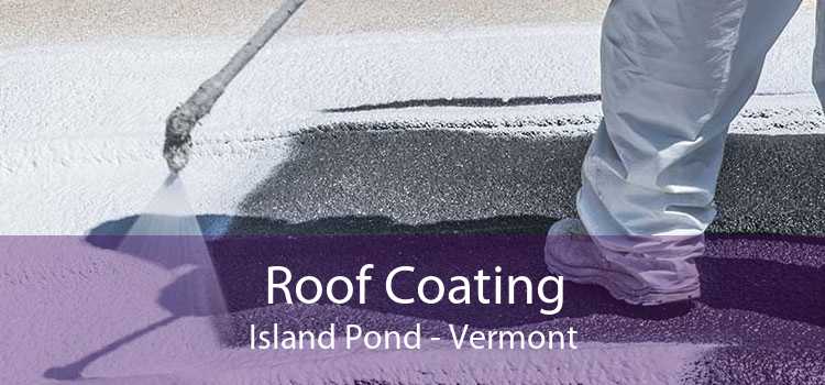 Roof Coating Island Pond - Vermont
