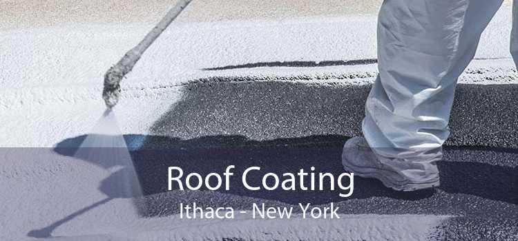 Roof Coating Ithaca - New York